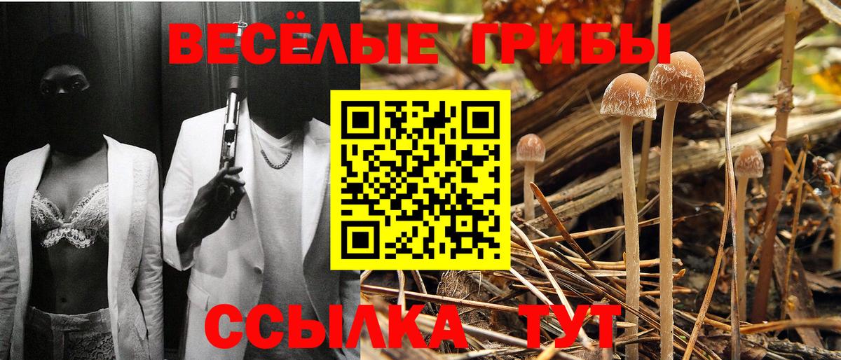 Псилоцибиновые грибы GOLDEN TEACHER Алапаевск